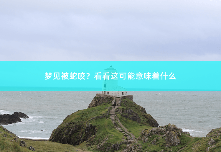 梦见被蛇咬？看看这可能意味着什么解读梦见被蛇咬的含义-掌中文学