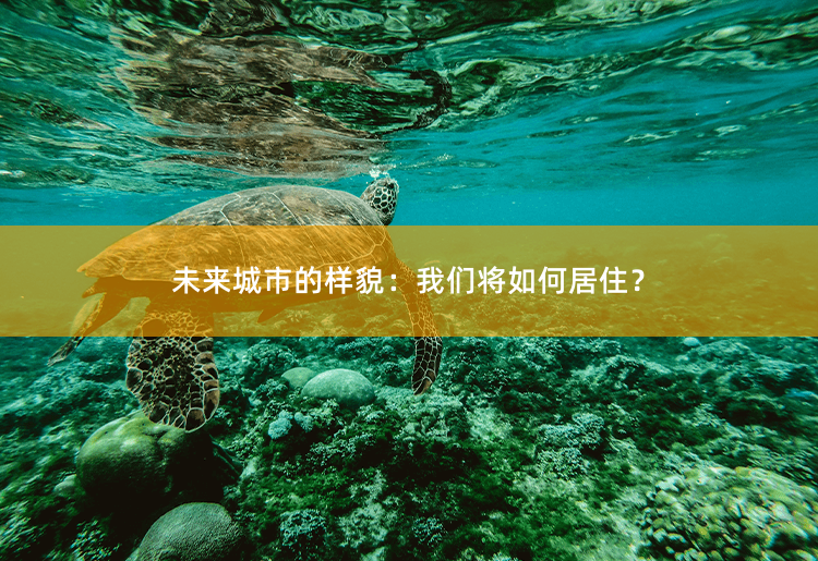 未来城市的样貌：我们将如何居住？构建智能化、可持续发展的未来居住方式-掌中文学