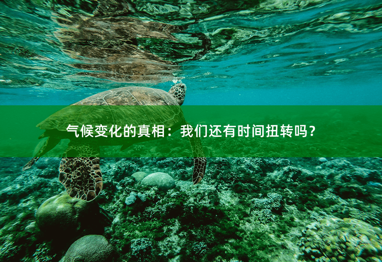 气候变化的真相：我们还有时间扭转吗？探讨扭转气候变化的可能性-掌中文学