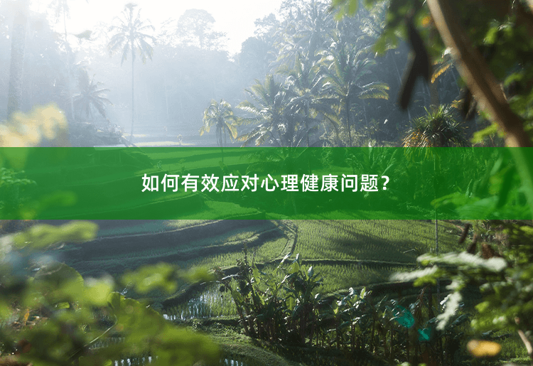 如何有效应对心理健康问题？探索心理健康的关键方法-掌中文学