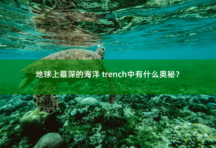 地球上最深的海洋 trench中有什么奥秘？地球深海海沟的未解之谜-掌中文学