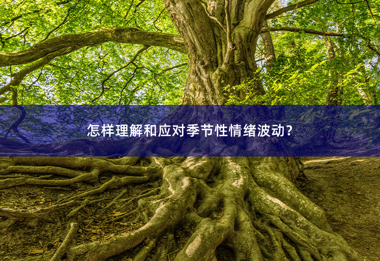 怎样理解和应对季节性情绪波动？季节性情绪波动：如何理解和应对？-掌中文学