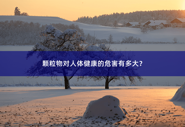 颗粒物对人体健康的危害有多大？颗粒物对人体健康的危害及应对措施-掌中文学