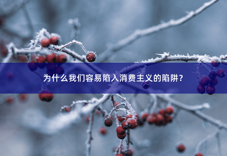 为什么我们容易陷入消费主义的陷阱？探寻消费主义陷阱：为何我们难以自拔？-掌中文学