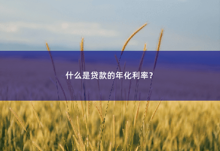 什么是贷款的年化利率？揭秘贷款的年化利率-掌中文学