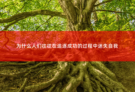 为什么人们往往在追逐成功的过程中迷失自我为什么人们往往在追逐成功的过程中迷失自我-掌中文学