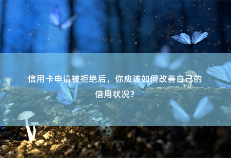 信用卡申请被拒绝后，你应该如何改善自己的信用状况？重建信用，再次尝试-掌中文学