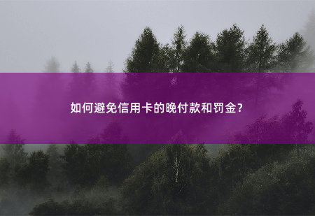 如何避免信用卡的晚付款和罚金？如何避免信用卡晚付款和罚金？-掌中文学