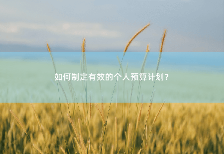如何制定有效的个人预算计划？如何制定有效的个人预算计划？-掌中文学