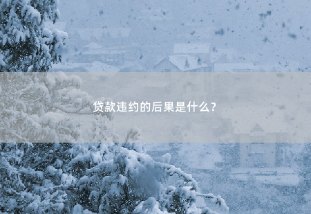 贷款违约的后果是什么？贷款违约的后果是什么？-掌中文学