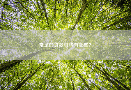 常见的贷款机构有哪些？常见的贷款机构有哪些？-掌中文学