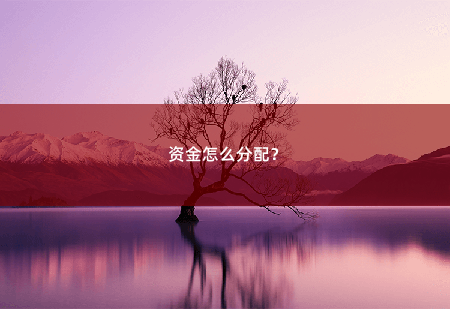 资金怎么分配？资金怎么分配？-掌中文学