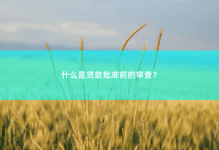 什么是贷款批准前的审查？什么是贷款批准前的审查？-掌中文学