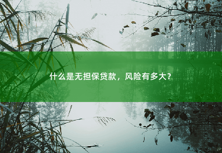 什么是无担保贷款，风险有多大？什么是无担保贷款，风险有多大？-掌中文学