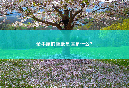 金牛座的孽缘星座是什么？谁是你的缘，谁是你的劫？-掌中文学