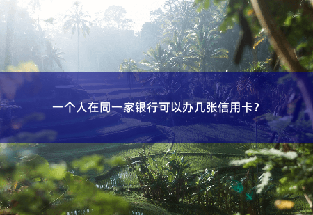 一个人在同一家银行可以办几张信用卡？具体数量取决于银行的规定和个人信用情况。-掌中文学