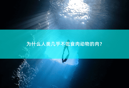 为什么人类几乎不吃食肉动物的肉？探究背后的原因-掌中文学