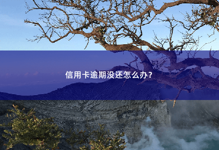 信用卡逾期没还怎么办？别慌，有救援！-掌中文学