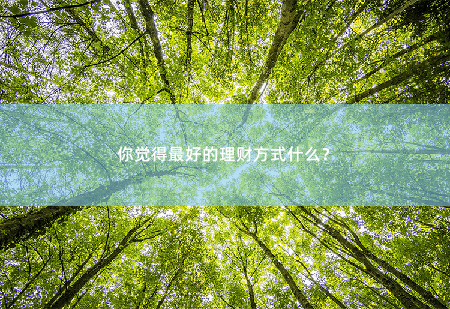 你觉得最好的理财方式什么？聪明理财，让钱生钱-掌中文学