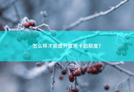 怎么样才能提升信用卡的额度？提升信用卡额度的方法和技巧。-掌中文学