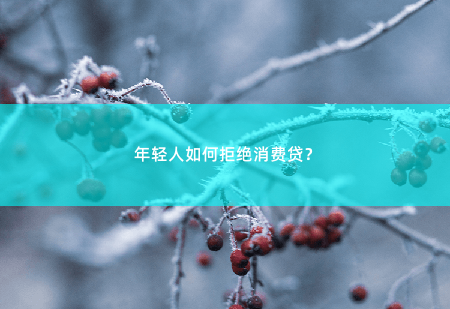 年轻人如何拒绝消费贷？如何守住钱包,拒绝诱惑-掌中文学