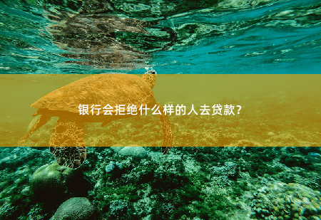 银行会拒绝什么样的人去贷款？银行的底线-掌中文学