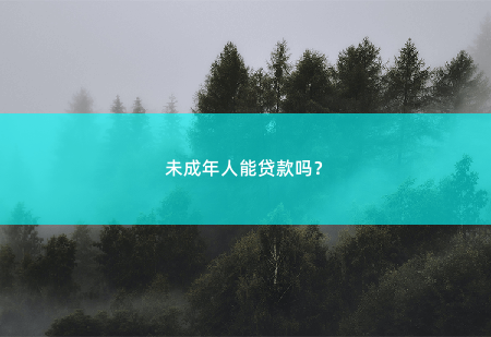 未成年人能贷款吗？未成年人无法直接申请贷款-掌中文学