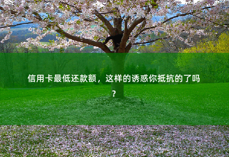 信用卡最低还款额，这样的诱惑你抵抗的了吗？我们必须理智应对。-掌中文学