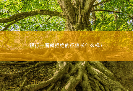 银行一看就拒绝的征信长什么样？你是不是被拒绝的对象？-掌中文学