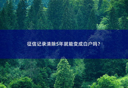 征信记录清除5年就能变成白户吗？这些注意事项很关键！-掌中文学