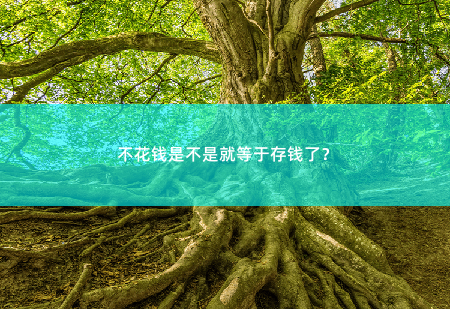 不花钱是不是就等于存钱了？教你如何通过不花钱来实现理财目标。-掌中文学