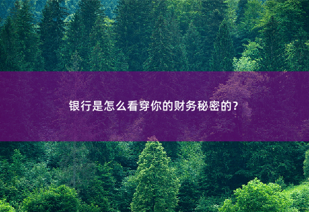 银行是怎么看穿你的财务秘密的？银行到底是怎么读取的关键信息？-掌中文学