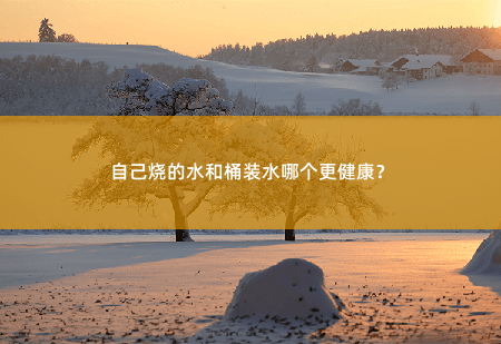 自己烧的水和桶装水哪个更健康？我们都需要喝水来维持身体的健康-掌中文学