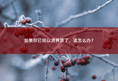 如果你已经以贷养贷了，该怎么办？-掌中文学