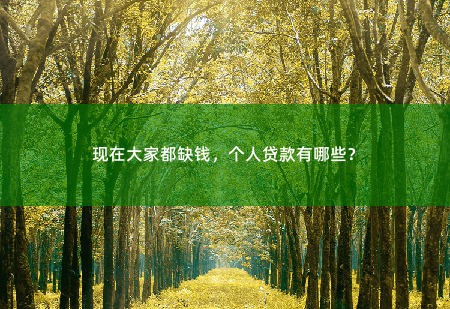 现在大家都缺钱，个人贷款有哪些？-掌中文学