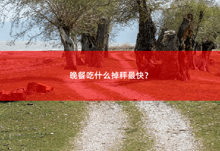 晚餐吃什么掉秤最快？-掌中文学