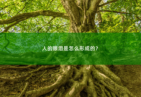 人的眼泪是怎么形成的？-掌中文学