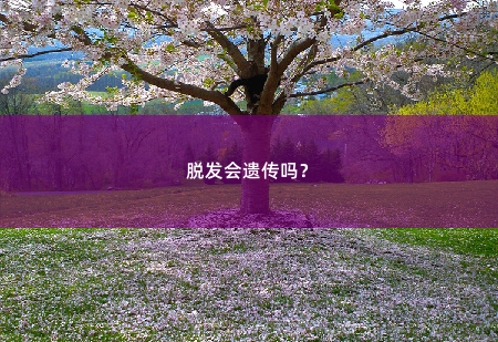 脱发会遗传吗？-掌中文学