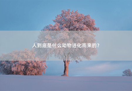 人到底是什么动物进化而来的？-掌中文学