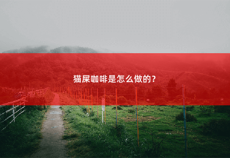 猫屎咖啡是怎么做的？-掌中文学