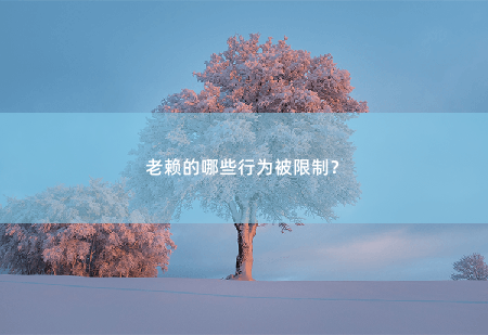 老赖的哪些行为被限制？-掌中文学