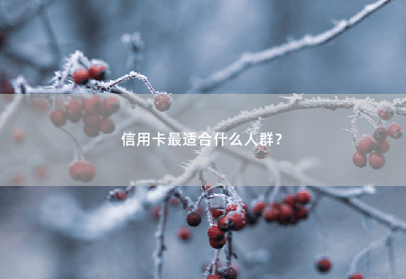 信用卡最适合什么人群？-掌中文学