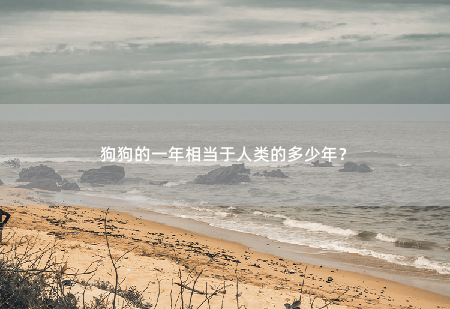 狗狗的一年相当于人类的多少年？-掌中文学