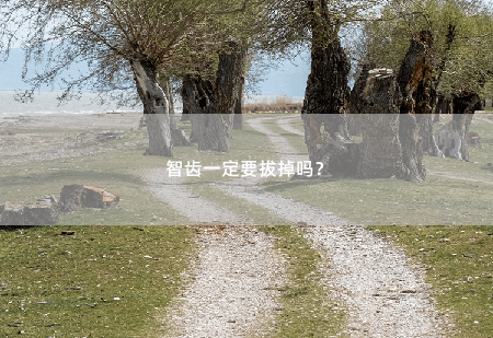 智齿一定要拔掉吗？-掌中文学