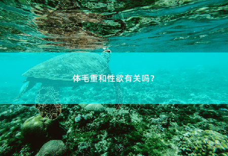 体毛重和性欲有关吗？-掌中文学