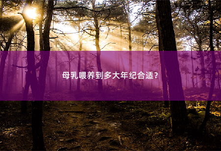 母乳喂养到多大年纪合适？-掌中文学