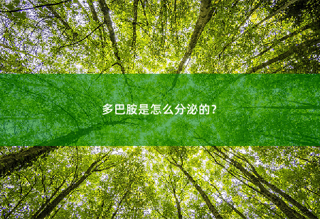 多巴胺是怎么分泌的？-掌中文学