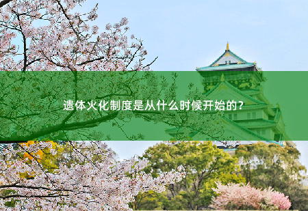 遗体火化制度是从什么时候开始的？-掌中文学