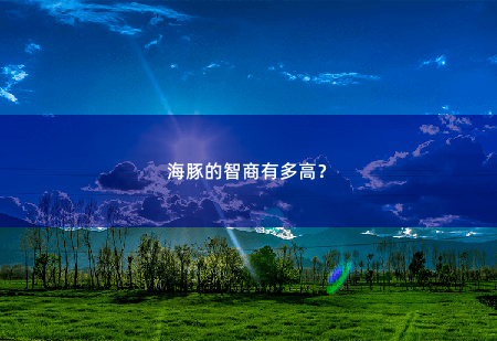 海豚的智商有多高？-掌中文学