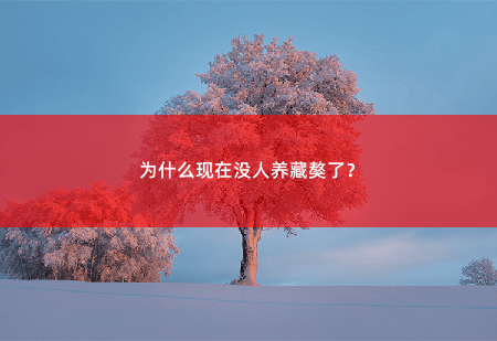 为什么现在没人养藏獒了？-掌中文学